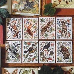 Puede incluir: Una colección de ocho láminas de arte rectangulares con ilustraciones detalladas de animales del bosque, incluyendo un zorro, ardilla, búho, liebre, tejón, marta, mirlo y búho, cada uno rodeado de elementos botánicos como flores y hojas.