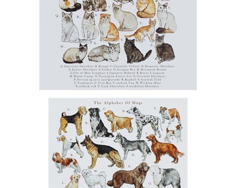 Alphabet of Dogs & Cats A4 Illustration Print Pack