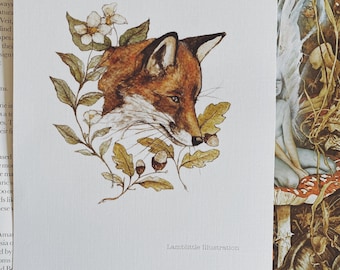 Fox & Acorns A4 Illustration Print