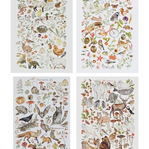 Four Seasons Illustration Print Pack