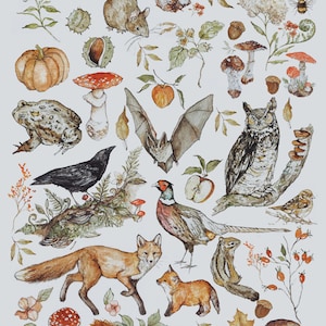 Herbst Illustration Druck