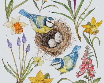 Spring Birds Illustration Print
