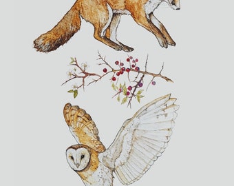 Blackthorn Fox & Owl Illustration Print