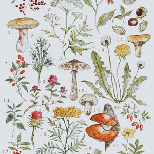 Futtersuche Illustration Print