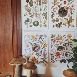 In The Garden Print Pack