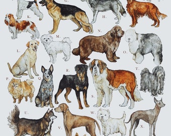 The Alphabet Of Dogs A4 Illustration Print