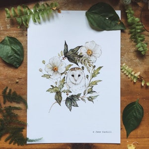 Floral Barn Owl A5 Illustration Print