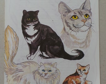 Vintage Cats & Kittens Iron On Embroidery Transfers - Webster Craft Book