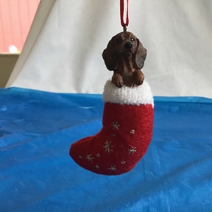 Dachshund Red Everyday Life | Etsy