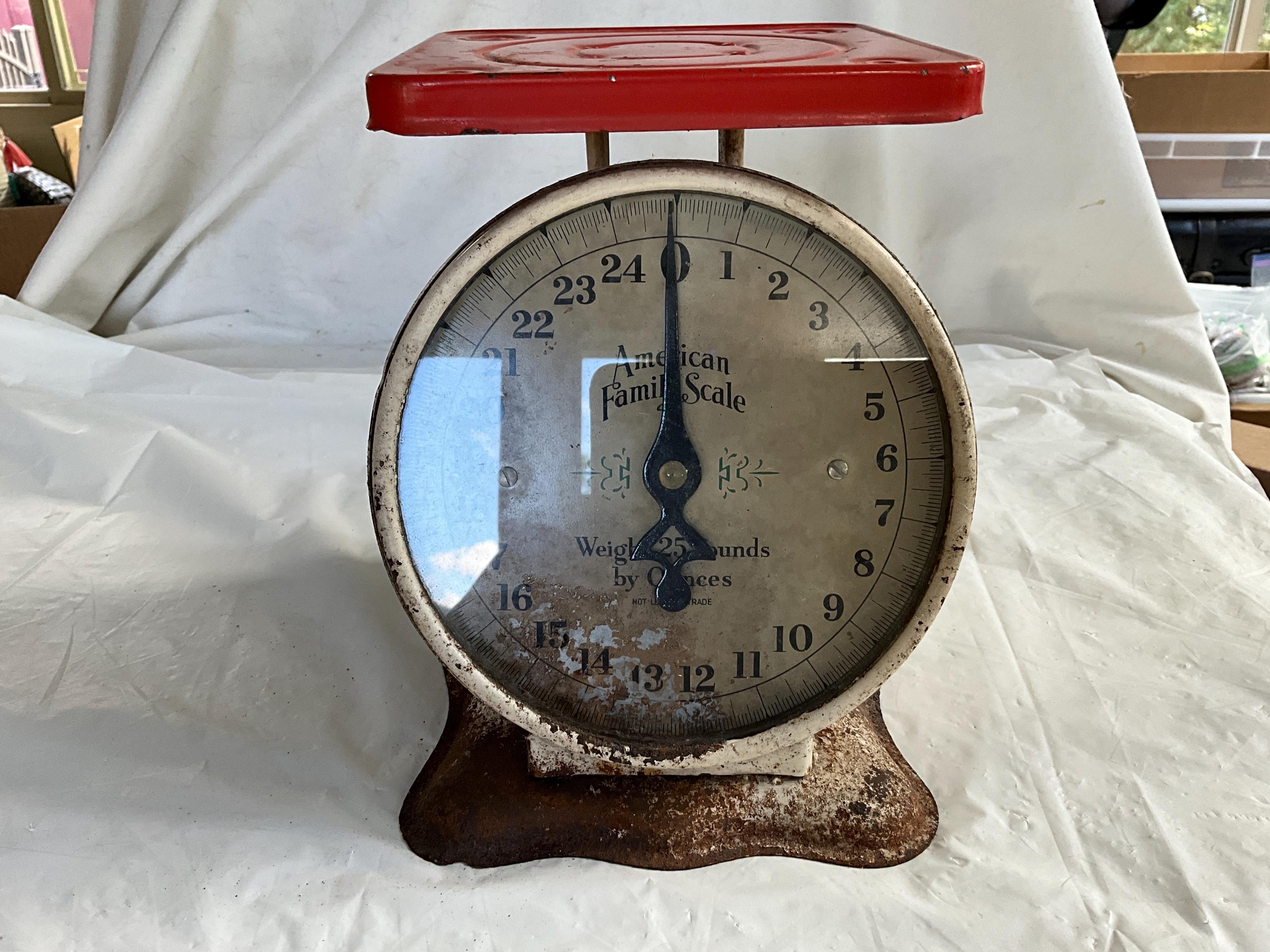 American Family Scale - Etsy