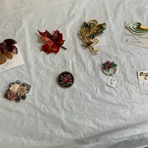 From Leaves to Flowers - Enhanced By Enamel/Needlepoint - Collection of Goldtone Costume Jewelry Brooches - Bag 2145