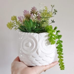 Owl planter | succulents in cute ceramic owl shape pot | artificial succulents | small arrangements | home  shelf decor | housewarming gift