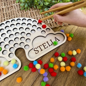 Montessori Toys For Toddlers and Big Kids, Rainbow Color Sorter Educational Toy, Wooden Sensory Custom Birthday Gift, Screen Free Activities