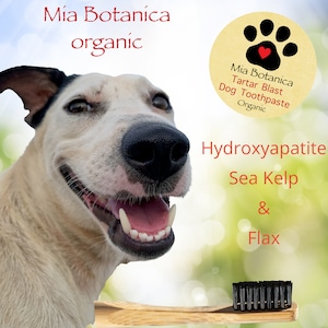 May include: A happy dog with a big smile, looking at a wooden toothbrush with black bristles. The text on the image reads "Mía Botanica organic Tartar Blast Dog Toothpaste Organic Hydroxyapatite Sea Kelp & Flax".