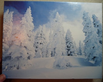 Springbok Puzzle "Snowscape" 500 Pieces