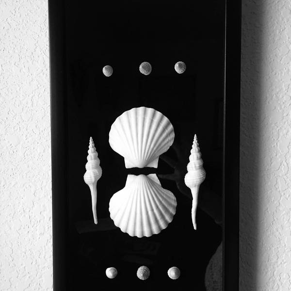 Black & White Seashells- Spindle Shells- Shadowbox Framed Shell Art - Sea Shell Decor- Specimen Art- Scallop Shell Art- Modern Beach Art