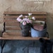 Avatar belonging to TinyDwelling