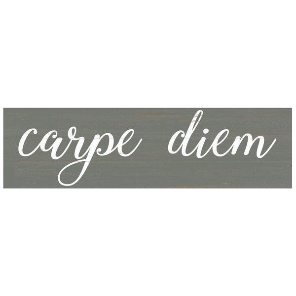 Carpe Diem Sign- Seize The Day Sign