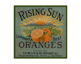 Fruit Plaque- Orange Sign- Citrus Wall Sign