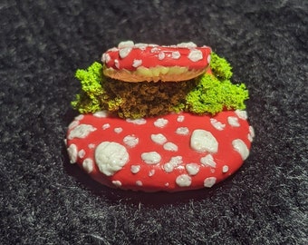 Mushroom Magnet