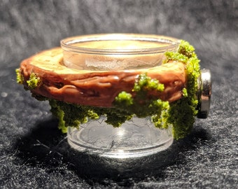 Arboreal Feeding Ledge