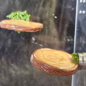 Log Ledge Magnet Set