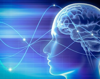 May include: A blue and white illustration of a human head with a brain inside. The brain is connected to other parts of the head by blue lines. The background is a blue and white abstract design.