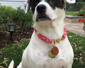 Pink Ombré Rope Dog Collar