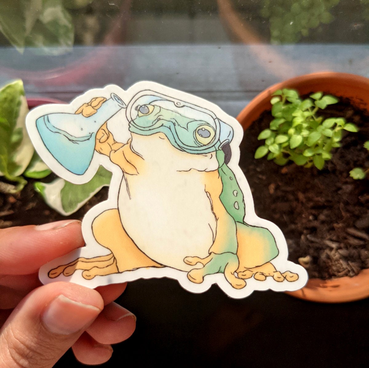 Science Frog Etsy