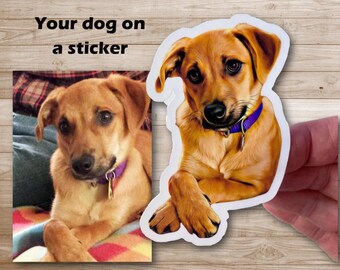 Custom Pet Cartoon laminated Photo Stickers: Personalized Dog/Cat Glossy Decal,  Dog lover gift