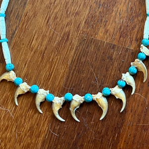 May include: A necklace featuring cream-colored beads and turquoise accents, with a series of claw-shaped pendants. The necklace is strung on a white cord and has a silver clasp.