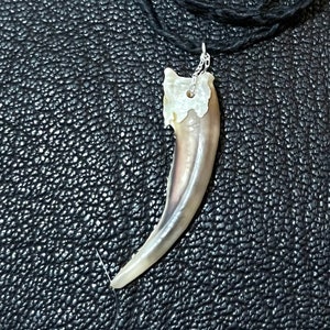XL Badger Claw Necklace on Hand Braided Cord
