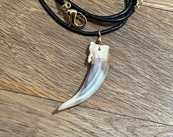 Rare White-Striped Badger Claw and 14k Gold Pendant on 23.5” Leather Cord