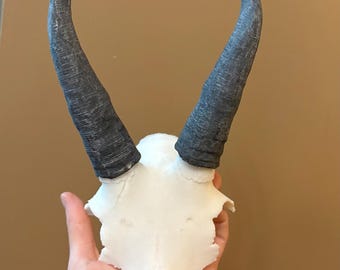 Mountain Goat Skull Plate Life Size REPLICA One Has Removable Horns