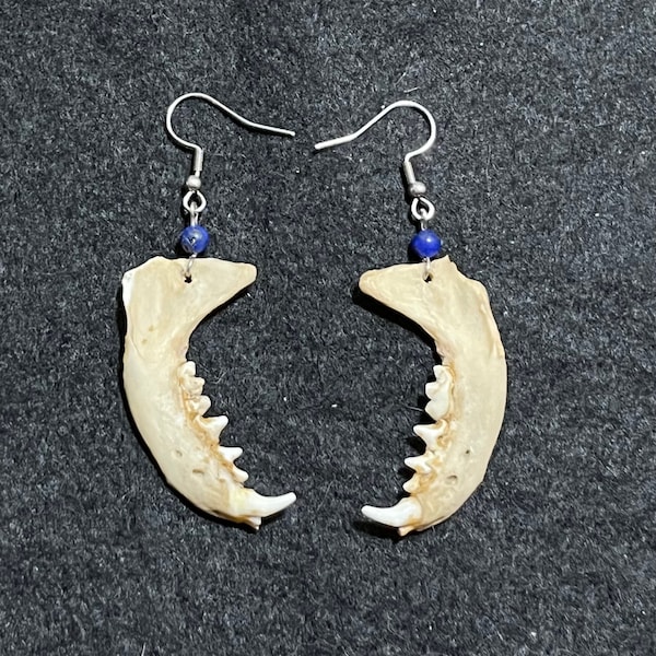 Real Mink Jawbone and Lapis Lazuli Earring on Stainless Steel Posts