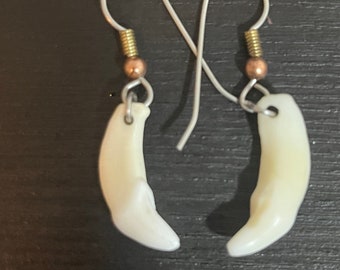 Real Wolverine Tooth Earrings on Brass Findings