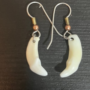 May include: A pair of silver earrings with white tooth-shaped charms and copper beads.
