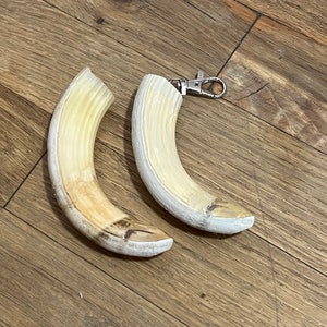 Realistic Hippo Tusk Keychain (Resin Replica)