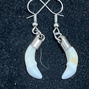 May include: A pair of silver earrings with white tooth-shaped charms. The earrings have a simple, infinity-shaped hook.