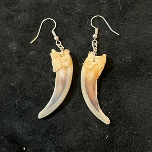 Real Badger Front Claw Earrings