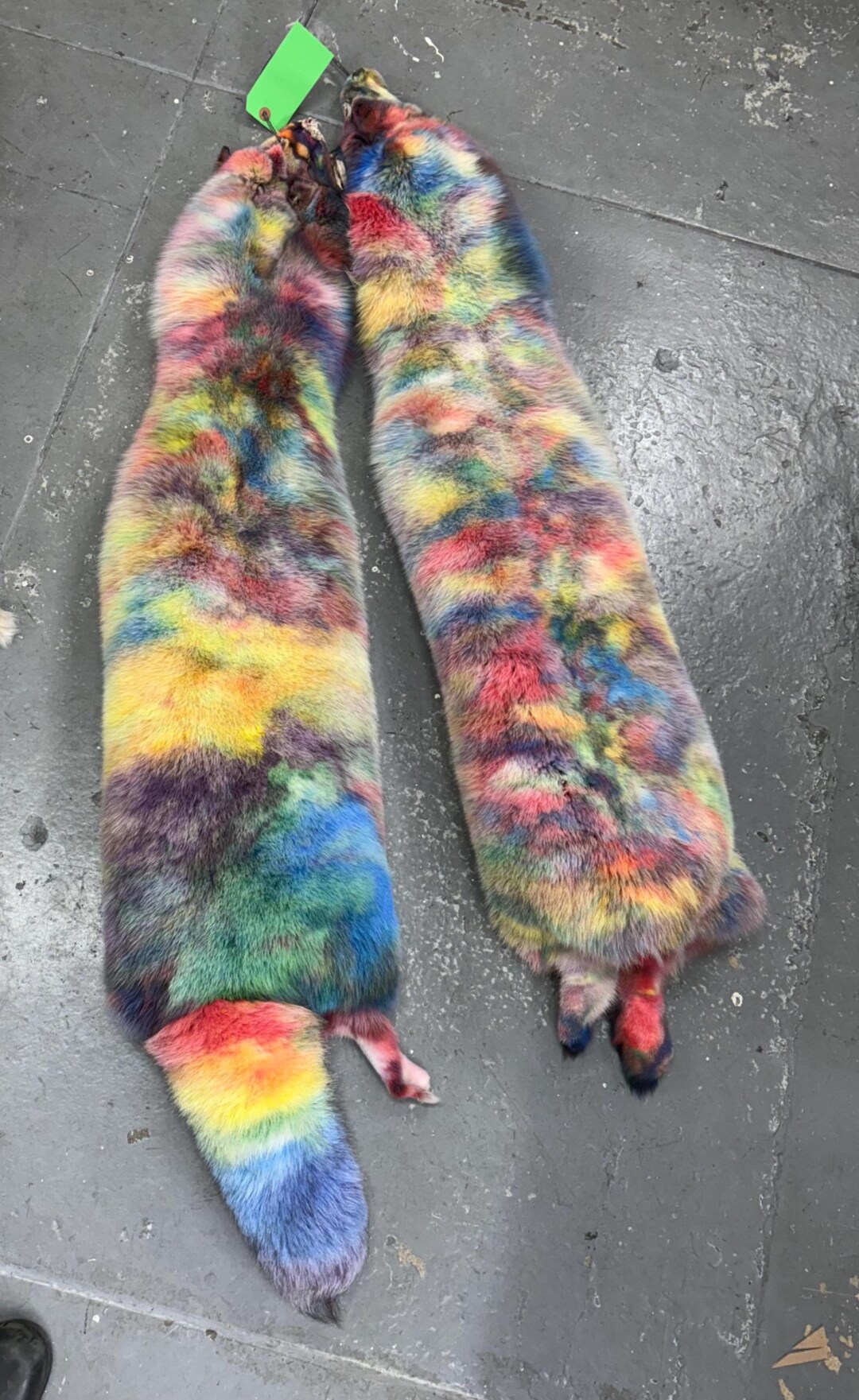 Rainbow Polka Dot Dyed Blue Fox Pelt Unique Colors 4X Size - Etsy