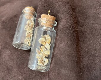 Mini Cork Vial of Real Mink Claws
