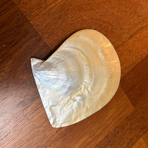Huge South Sea Shells Gold and Silver Pinctada Maxima Goldlipped Oyster Mother of Pearl