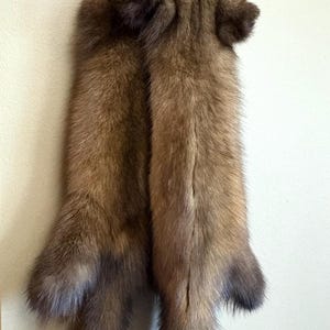 Premium Northern Sable Pelts X Large X Heavy