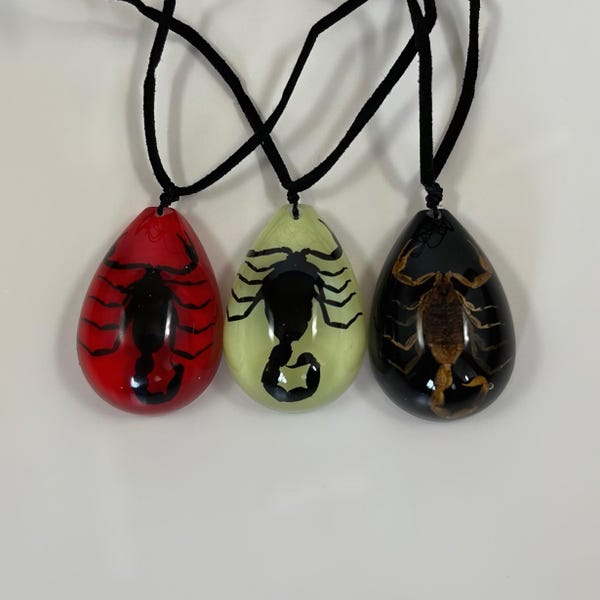 Real Scorpion in Resin Pendant 3 Colors