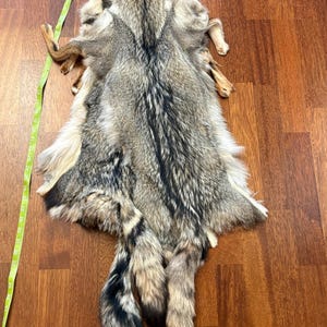 Argentinian Gray Fox Pelt Perfect Quality Garment Tanned