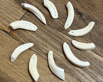 Drilled Camel Incisors for Making Jewelry for 1
