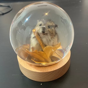 Preserved Harvest Mouse with Autumn Leaves in Resin Sphere