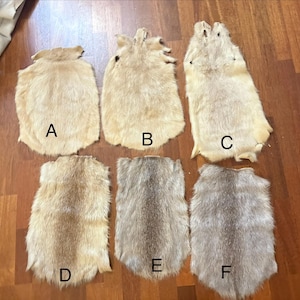 May include: Six tanned animal hides, each with a unique color and texture, are displayed on a wooden surface. The hides range in color from light beige to gray, with visible fur patterns. Each hide is labeled with a letter from A to F.