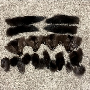 May include: An assortment of dark brown and black fur pieces, including tails and various shapes, arranged on a neutral-toned surface. The fur appears soft and textured, with variations in color and shape.